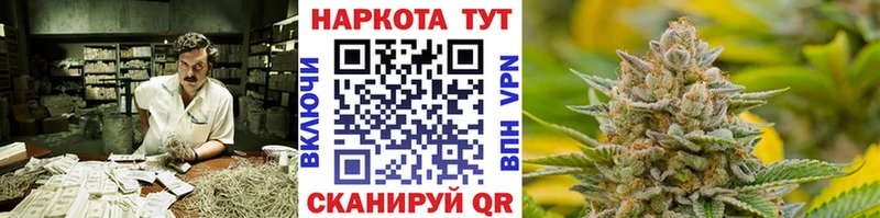 ГАШ Мещовск